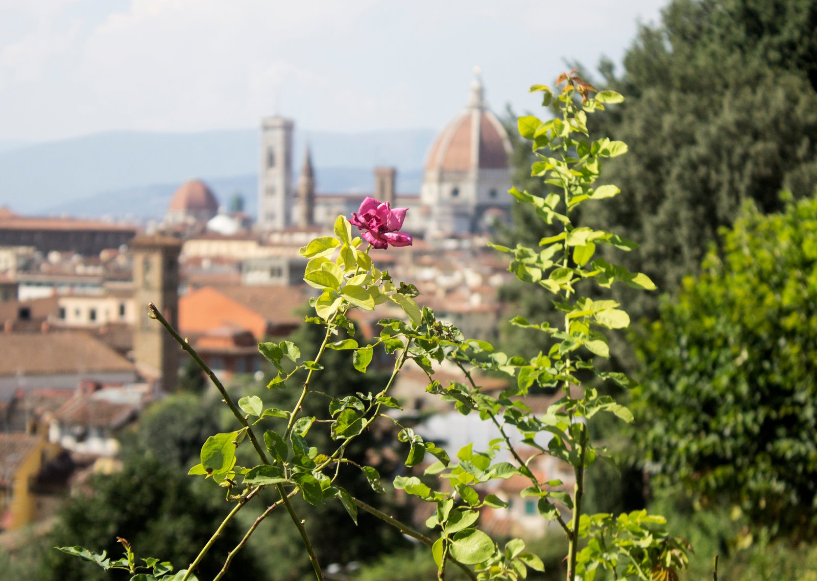 Os encantos de Florença